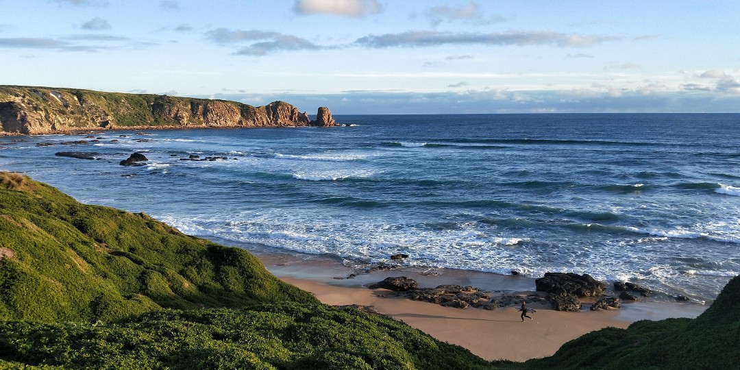 谁知道顺丰快递,可以告诉我电话多少-铁城包打听 - 网站原创