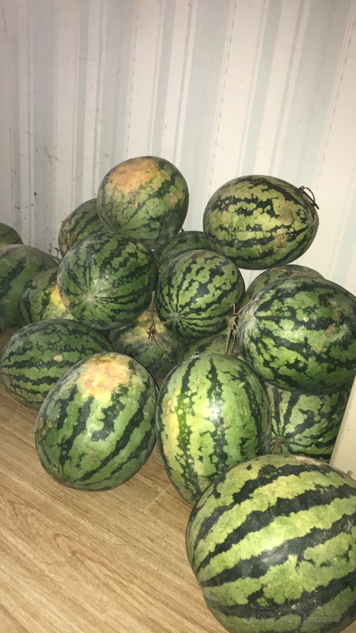 卖山瓜-广而告之 - 网站原创 - powered by discuz!