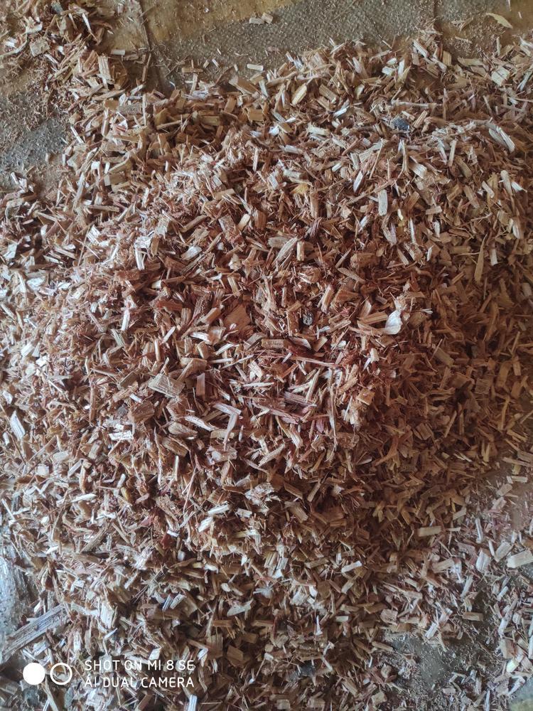 大量出售杂木白柯俗称香菇树木屑锯糠刨花粉