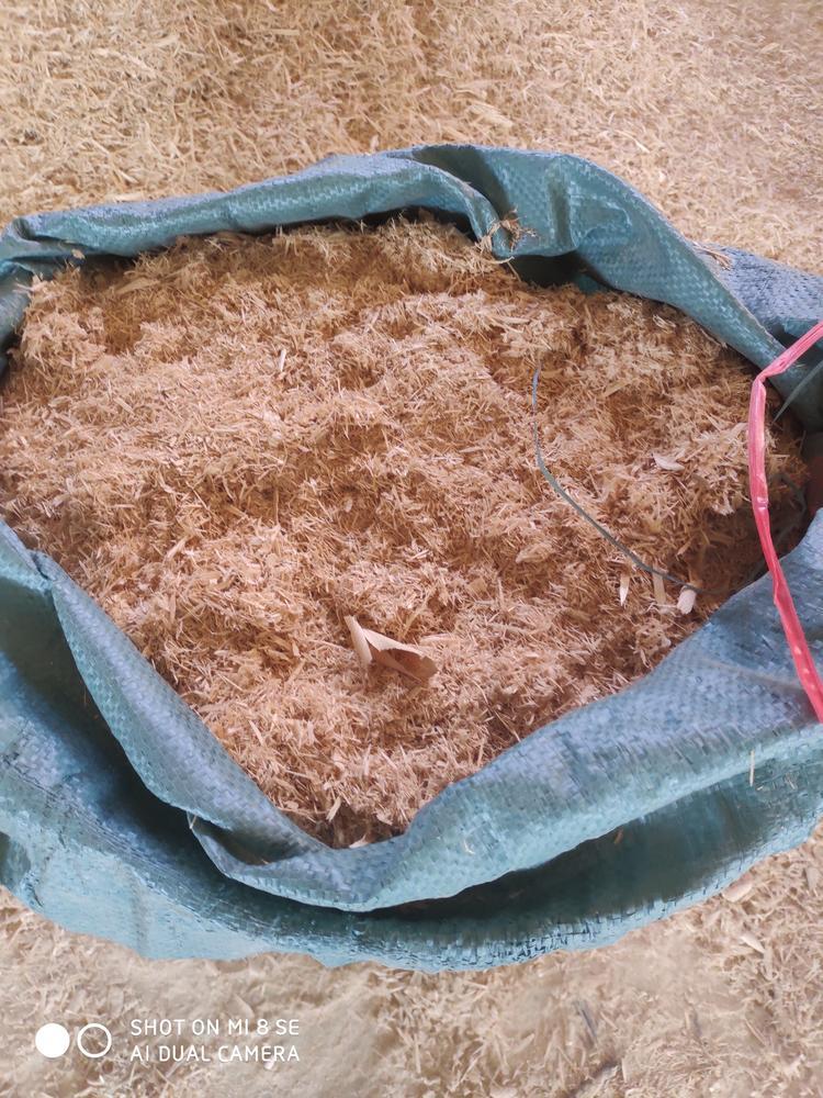 大量出售杂木白柯俗称香菇树木屑锯糠刨花粉