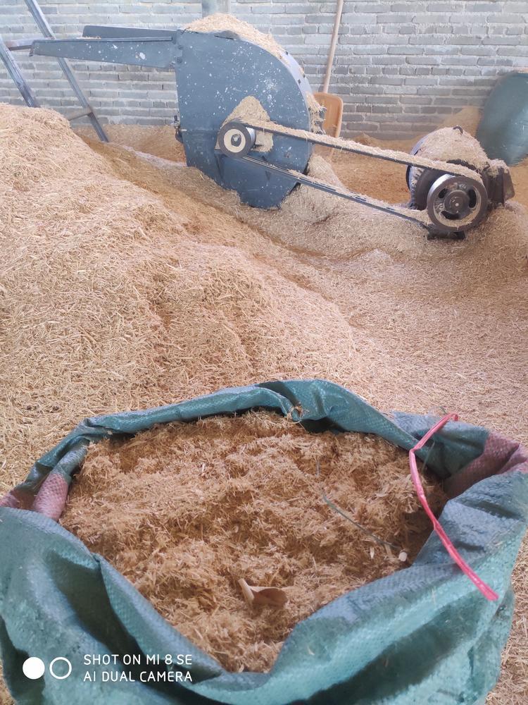 大量出售杂木白柯俗称香菇树木屑锯糠刨花粉